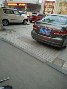 只输入车牌号查车主姓名_只输入车牌号查车主姓名,车主本人会知道吗--第1张