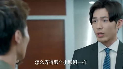 傲娇女总裁的医皇保镖短剧在线资讯  傲娇女总裁的医皇保镖--第1张