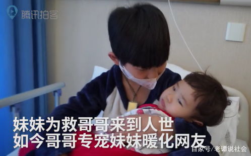 退婚后被三个大佬哥哥宠上天短剧在线资讯  ，退婚后被三个大佬哥哥宠上天短剧在线资讯--第1张