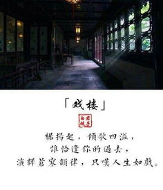 回到古代我走上了巅峰短剧在线资讯  回到古代我走上了巅峰，穿越古代称霸天下--第1张