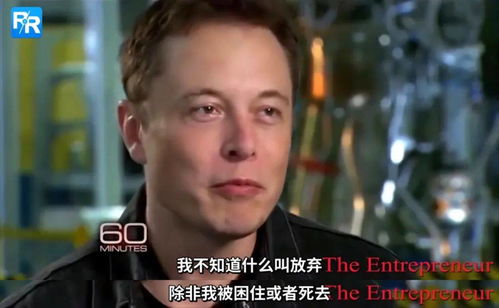 破产后我成了世界首富短剧在线资讯  破产后我成了世界首富，破产后我成了世界首富，财富逆转的人生传奇--第1张