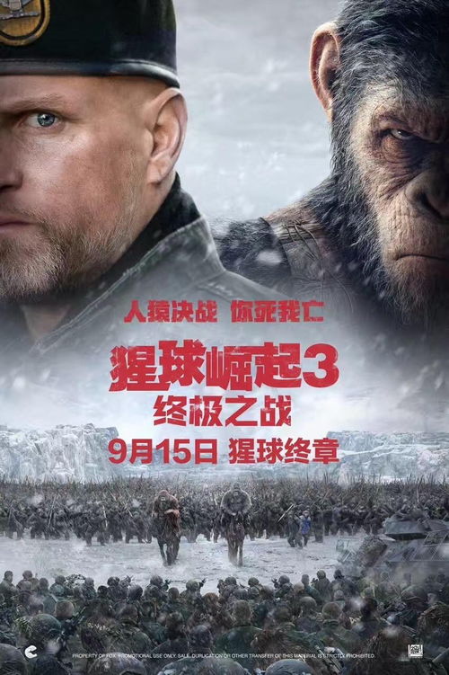 崛起短剧在线资讯  崛起短剧在线资讯--第1张