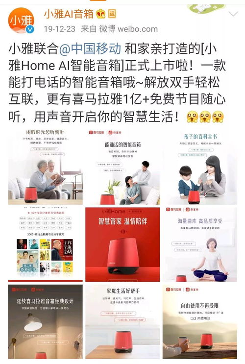 等风也等你短剧在线资讯  等风也等你短剧在线资讯，等风也等你，爱情短剧的甜蜜邂逅--第1张