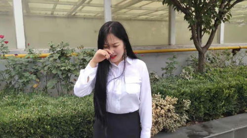 傅总太太又在征婚了短剧在线资讯  傅总太太又在征婚了短剧在线资讯，傅总太太征婚记，再战江湖--第1张