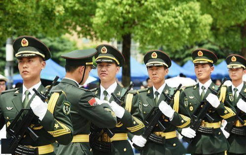 你好保安队长短剧在线资讯  你好，保安队长——短剧在线资讯，你好保安队长——保安日常琐事--第1张