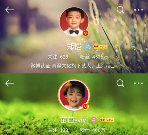 重生有点甜舒童短剧在线资讯  重生有点甜舒童短剧在线资讯，重生有点甜，舒童短剧在线资讯--第1张