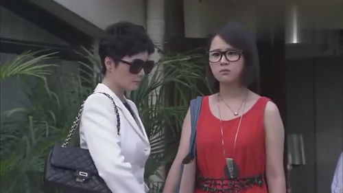 离婚后大明星老婆后悔了短剧在线资讯  离婚后大明星老婆后悔了短剧在线资讯，离婚后大明星老婆后悔了，离婚后的情感纠葛与重生--第1张