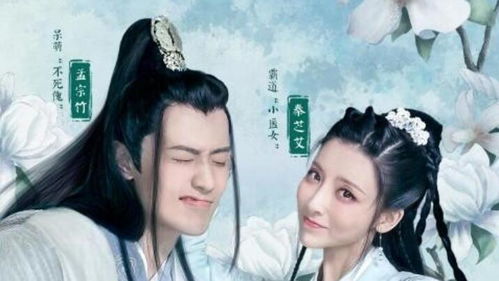 桃源小医仙合短剧在线资讯  桃源小医仙合短剧在线资讯，桃源小医仙合短剧，乡村医者与美女的奇妙之旅--第1张