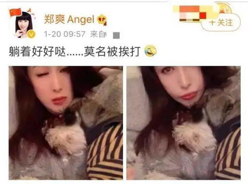 以身为饵的她短剧在线资讯  以身为饵的她短剧在线资讯，以身为饵的她，短剧在线--第1张