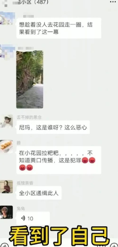 我有神仙微信群短剧在线资讯  我有神仙微信群短剧在线资讯，神仙微信群短剧，一场爆笑在线资讯之旅--第1张