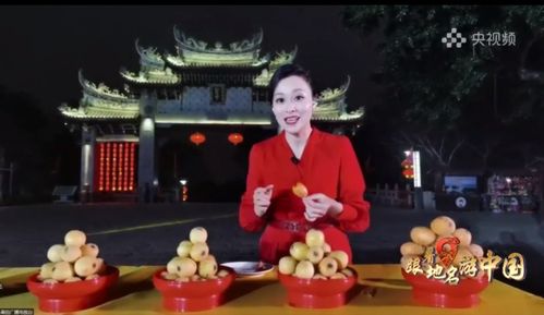 闲散太子纵横四海短剧在线资讯  闲散太子纵横四海短剧在线资讯，闲散太子纵横四海短剧，海量资讯在线观看--第1张