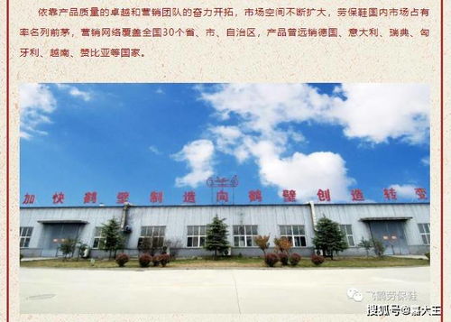 界王离婚后我给老婆送飞机短剧在线资讯  界王离婚后我给老婆送飞机短剧在线资讯，界王离婚后我给老婆送飞机短剧在线资讯，离婚后的新生活--第1张