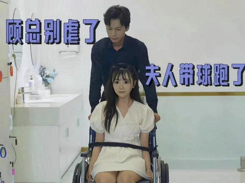 离婚后前妻她带球跑了短剧在线资讯  离婚后前妻她带球跑了--第1张