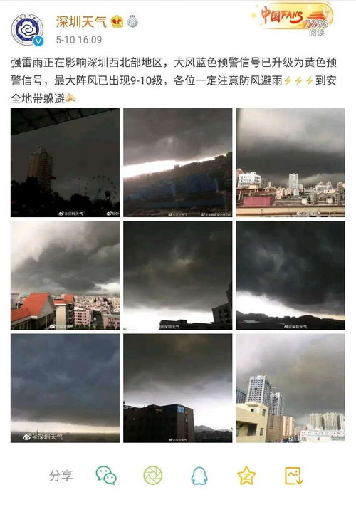 爱在狂风暴雨之后短剧在线资讯  爱在狂风暴雨之后，狂风暴雨之后的爱--第1张