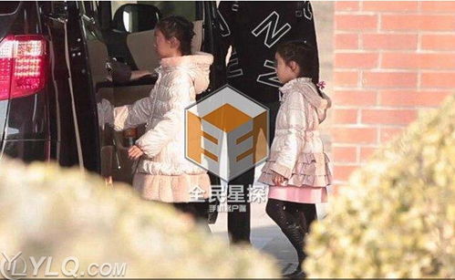 傅总太太马甲又被曝光了难哄傅少偏爱大佬千金短剧在线资讯  傅总太太马甲又被曝光了！难哄傅少偏爱大佬千金短剧在线资讯，傅总太太马甲又被曝光了！大佬千金短剧揭秘傅少偏爱之路--第1张
