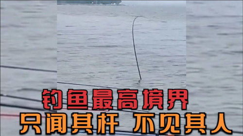 神级钓鱼佬短剧在线资讯  神级钓鱼佬短剧在线资讯--第1张