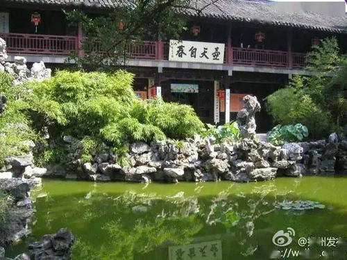 苏少的逃婚新娘短剧在线资讯  苏少的逃婚新娘短剧在线资讯--第1张