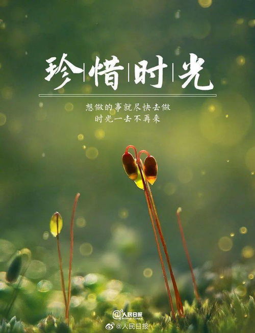 爱在雨过天晴时短剧在线资讯  爱在雨过天晴时短剧在线资讯，爱在雨过天晴时短剧，雨过天晴的浪漫故事--第1张