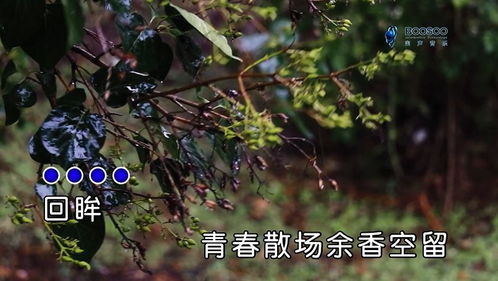 奈何流年枉情深宋楠短剧免费资讯  奈何流年枉情深，宋楠短剧免费资讯，奈何流年枉情深宋楠短剧，宋楠短剧免费资讯--第1张