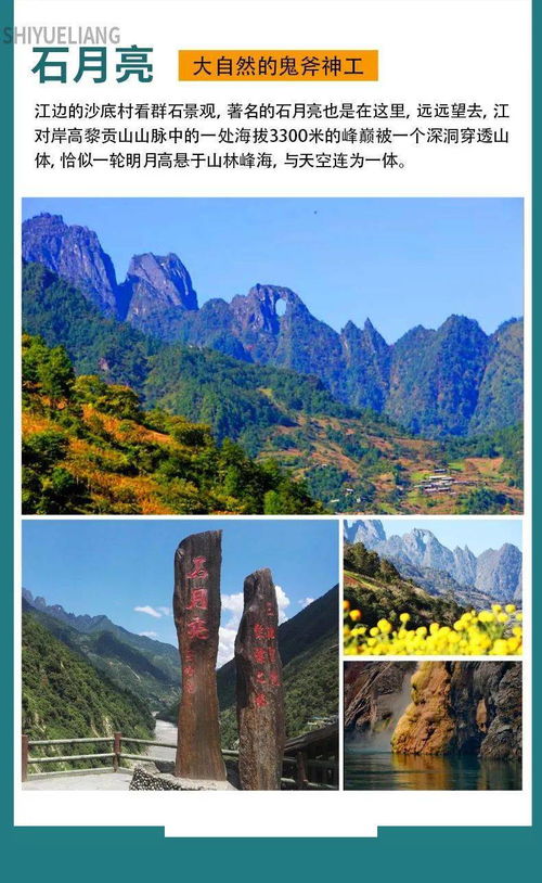 天狐九针天狐神宗短剧免费资讯  天狐九针，天狐神宗短剧免费资讯，天狐九针，天狐神宗短剧免费资讯--第1张