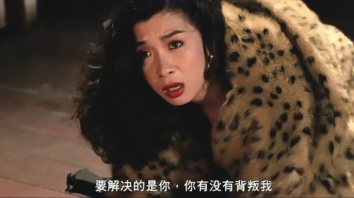我的杀手老婆短剧免费资讯  我的杀手老婆短剧免费资讯--第1张