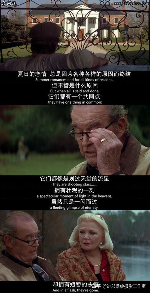 他曾踏月而来短剧免费资讯  他曾踏月而来，一部免费短剧的精彩资讯--第1张