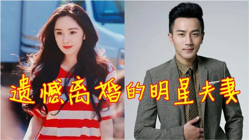 离婚后大明星老婆后悔了短剧免费资讯  离婚后大明星老婆后悔了短剧免费资讯，离婚后大明星老婆后悔了免费短剧资讯--第1张