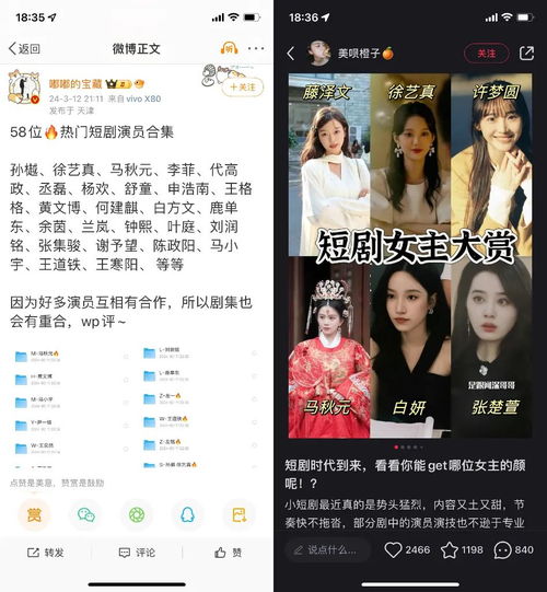 世间星辰不及你短剧免费资讯  世间星辰不及你短剧免费资讯--第1张