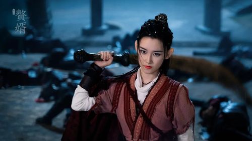 赘婿许文莲大结局是什么_赘婿文为什么隐藏身份--第1张