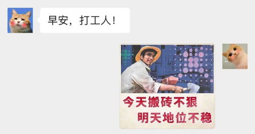 新版逆袭打工人短剧免费资讯  新版逆袭打工人短剧免费资讯，新版逆袭打工人短剧免费资讯，新篇章，新机遇！--第1张