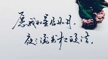 世间万物不及你短剧免费资讯  世间万物不及你短剧免费资讯，世间万物不及你，短剧免费资讯--第1张