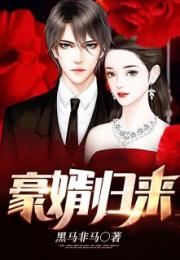 天降极品豪婿短剧免费资讯  天降极品豪婿短剧免费资讯，天降极品豪婿，短剧免费观看--第1张