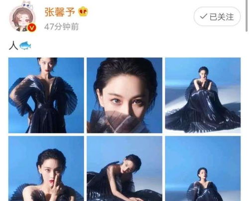 替嫁后墨总娇妻掐腰宠短剧免费资讯 替嫁后墨总娇妻掐腰宠短剧免费资讯，替嫁后，墨总娇妻掐腰宠，短剧免费资讯--第1张