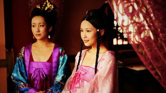  黑莲花上位手册，智者不入爱河，娘娘过河拆桥，深宫庶女上位记，智者不入爱河，黑莲花庶女上位记--第1张