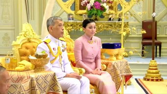 第一章抢婚的小说 ，抢一婚一记，小保安的短剧免费资讯，小保安的短剧，抢一婚一记免费资讯--第1张