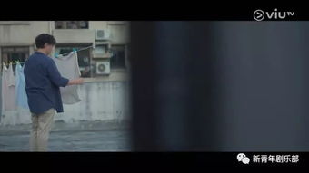 在他深情中陨落短剧免费资讯下载 在他深情中陨落，一部免费短剧的精彩资讯，深情陨落，他与短剧的邂逅--第1张