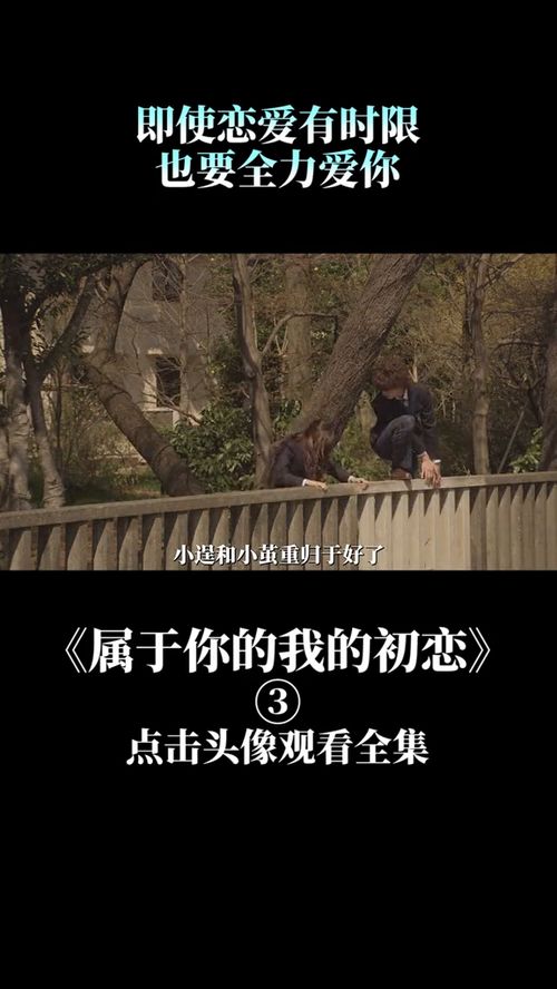 拼尽全力去爱你歌词 拼尽全力去爱你--第1张