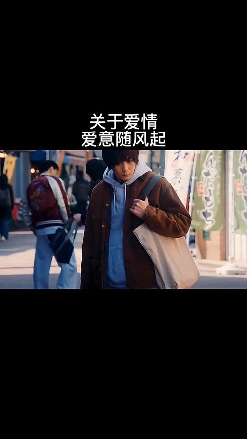 爱意随风起热播短剧资讯在线观看 爱意随风起，热播短剧资讯，爱意随风起短剧资讯在线观看--第1张