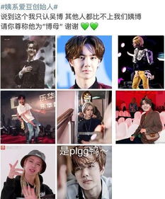 王晨辰是谁 晨王枪热播短剧资讯——揭秘幕后故事，感受热血激情--第1张