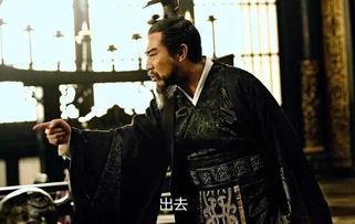 无双军虎将 无双大军师穿越剧热播，短剧资讯引领风潮--第1张