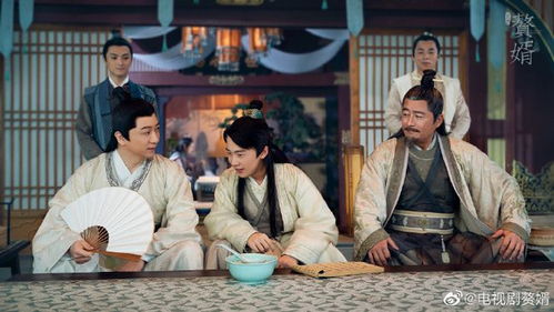  赘婿归来，马铭婕热播短剧资讯，赘婿归来，马铭婕短剧热播资讯--第1张