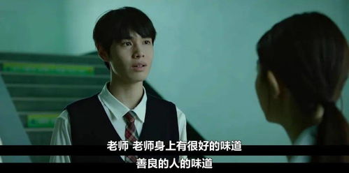  新再爱一次热播短剧资讯，新再爱一次，热播短剧最新资讯--第1张