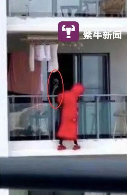  跳楼后我成了绝世神医，热播短剧资讯--第1张