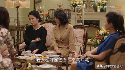江夫人死后，江总疯了，短剧热播资讯--第1张