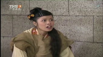 乘龙医婿热播短剧资讯，在线观看--第1张