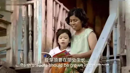萌宝归来，爹地妈咪闪婚热播短剧资讯--第1张