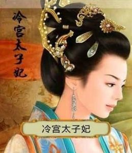 冷宫太子妃长篇热播短剧资讯--第1张