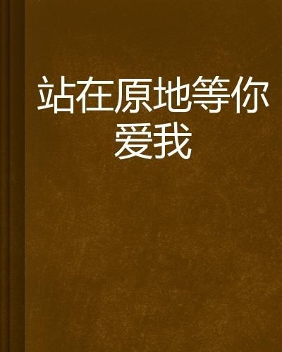 我不会在原地等你--第1张