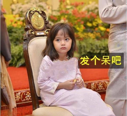 奈何千金要嫁我热播短剧资讯 奈何要娶我第一季免费观看第一集--第1张