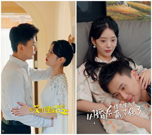误入豪门，我的闪婚攻略短剧资讯--第1张